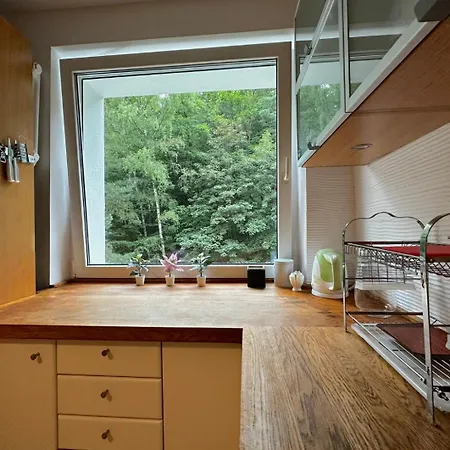 Elk - 5 Minutes To Molo & Seaside