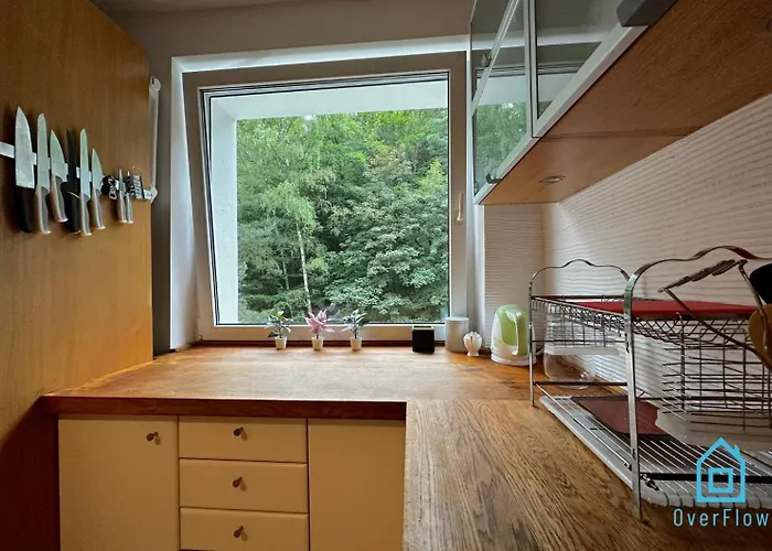 Elk - 5 Minutes To Molo & Seaside